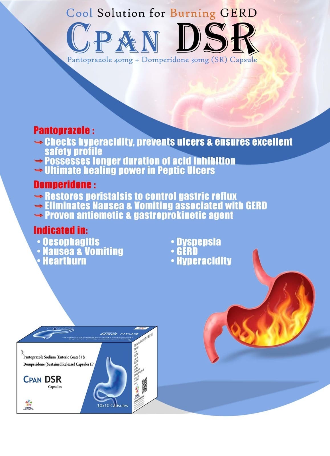 WhatsApp Image 2025-03-27 at 21.10.31 (2)